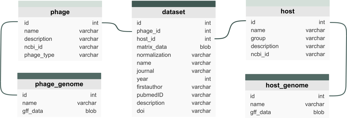 Database Structure