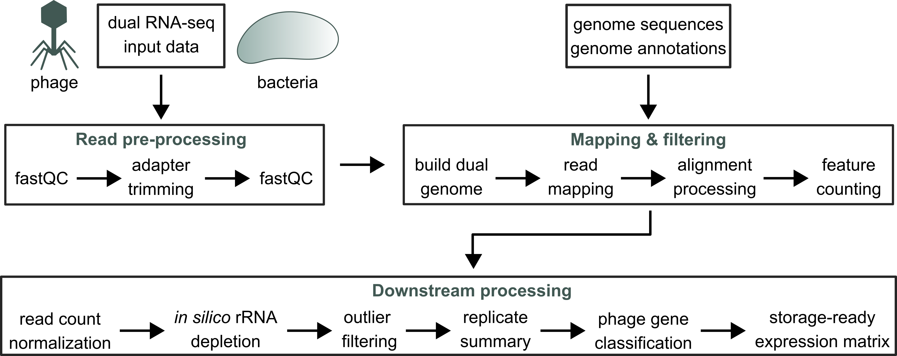 Nextflow Pipeline