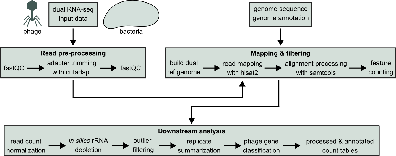Nextflow Pipeline