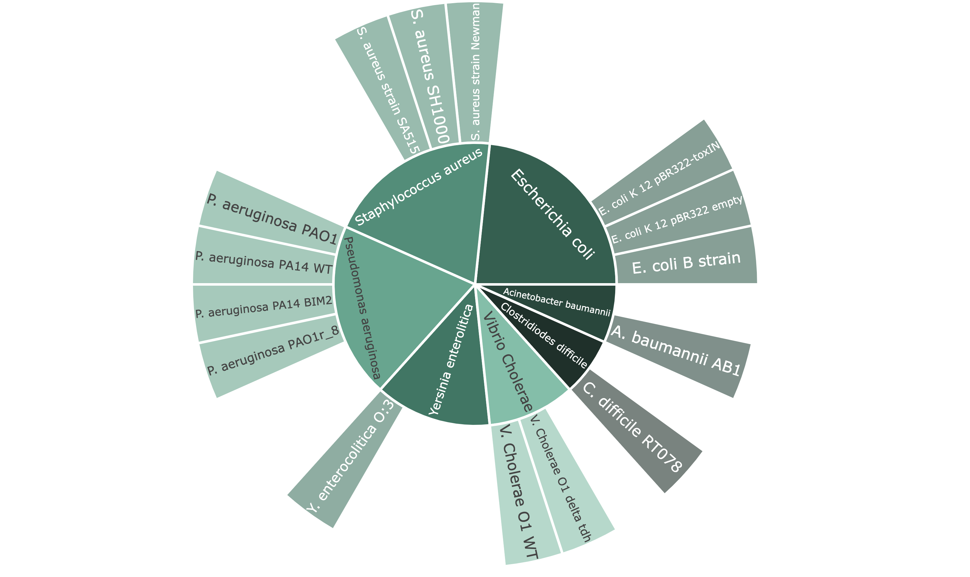 Sunburst Chart Example of Host (strains) represented in the Atlas