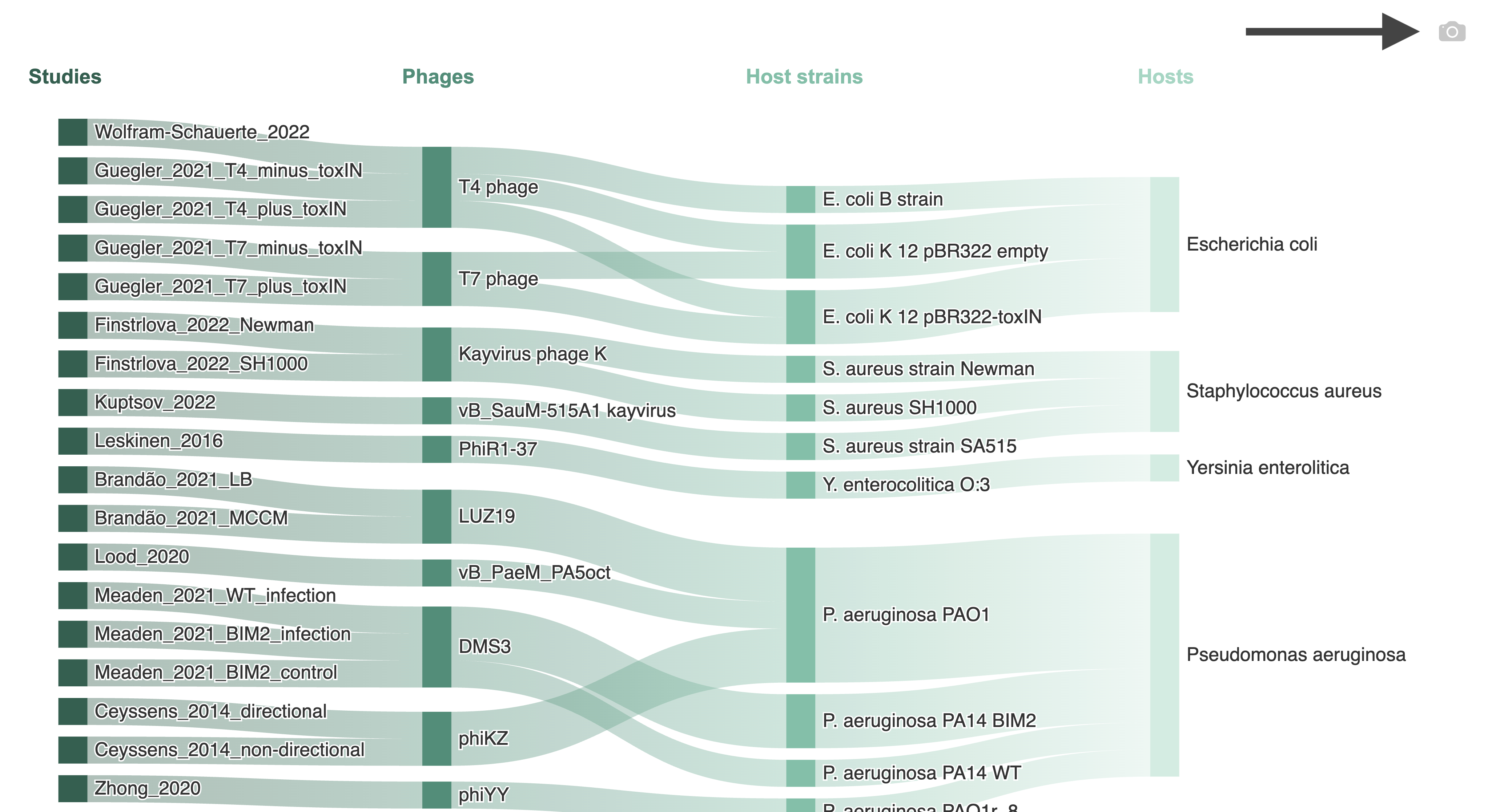 Sankey Diagram Example of the overview of all currenttly available Phage-Host Interactions in the PhageExpressionAtlas